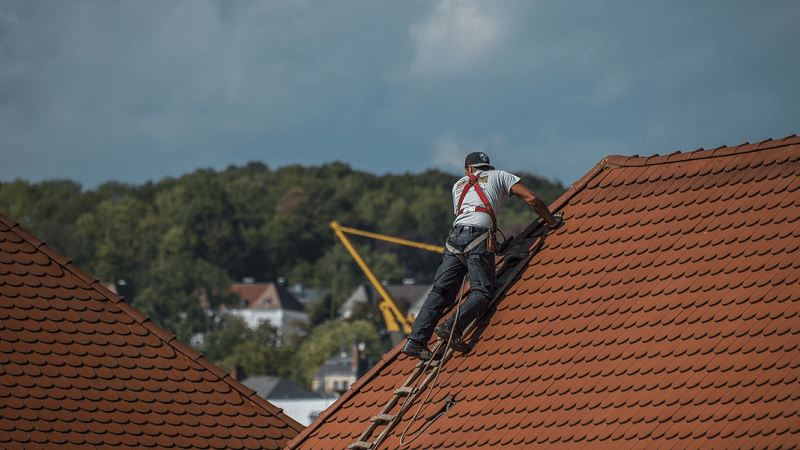 Importance of Timely Roof Repairs